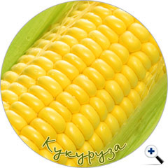сувенирыне магнитики еда кукуруза