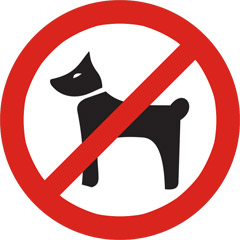 сувенирыне магнитики собакам вход запрещен